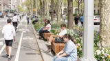 11 Blocks of Park Avenue Are Finally Getting Their Green Space Back