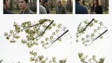 AI-generated illustration: Human tau seeds trigger disease-specific shapes in mouse brains, new study finds. Not a photograph of the reported event.